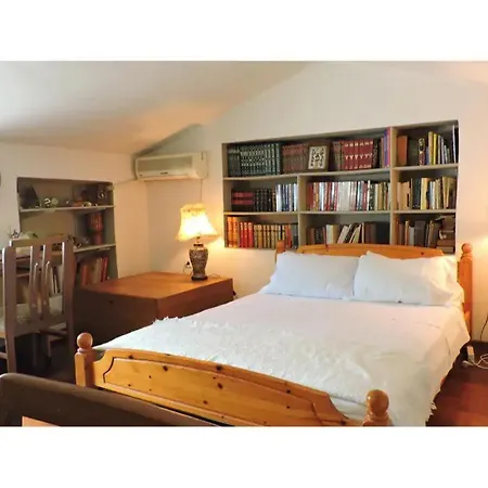 Vaggos House 別荘 Ándros